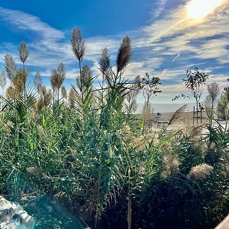 Paraiso Del Sol